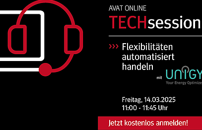 AVAT TECHsession Flexibilitäten handeln